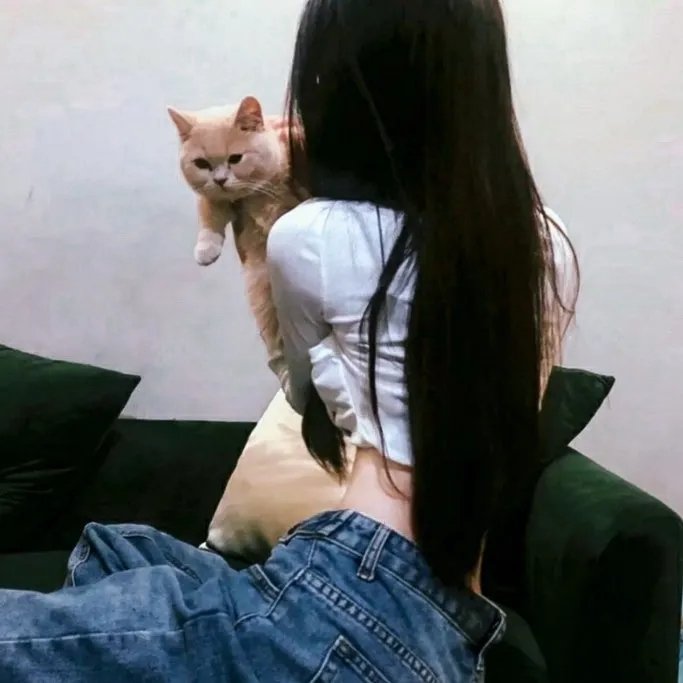 恋爱部屋