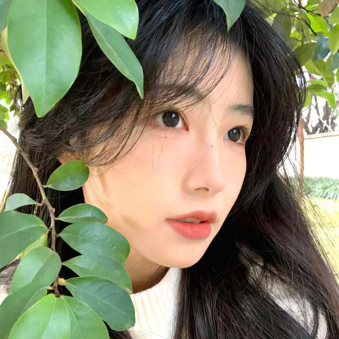 红粉妖魔